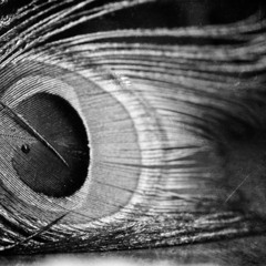 Beth charles-music sequencing 1&2