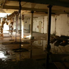 Started from the Basement (From the Bottom Remix) ft. Young "Dolo TheSav" Ang and Myke.D