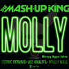 TYGA - Molly (The Mash-Up King Mercy Hype Intro) NEW DL LINK IN DESCRIP