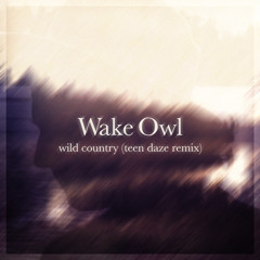 Wake Owl - Wild Country (Teen Daze Remix)