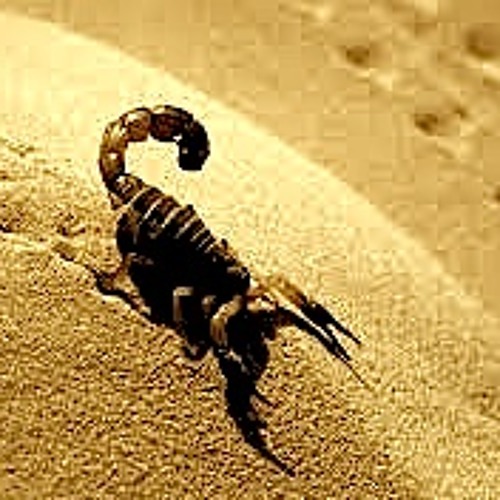 The Scorpion (Electric 'cello and piano improvisation)- eastern percussion backing demo