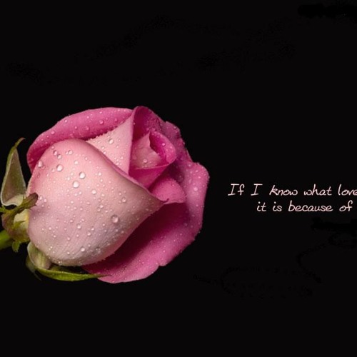 01+Narumugaye+-+Aalaap+Raju,+Madhubala