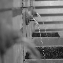 SPLENDATA ~ ЧЕШМИТЕ ДО ЦУМ (2013)