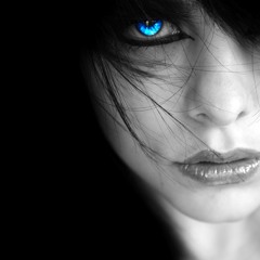 Fidelys - Fly To Colors (Markus Schulz Big Room)