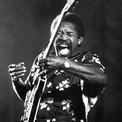 Luther Allison - Cherry Red Wine (1995)