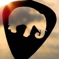 למרות הכל - חידוש לכוורת - עבור גל"צ - עצמאות 2013