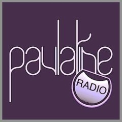 Paulatine Radio 052 hosted by Grosstone (April 2013)