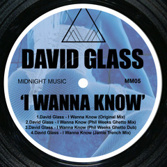 David Glass - I Wanna Know (Original Mix)