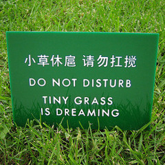 Don't walk on the grass - (smoke remix)