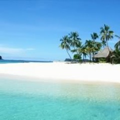 el nido