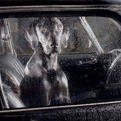 Elias Rahbani - Dance of Maria (1974)