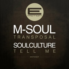 M-soul - Transposal (Out now on E-motion Records)