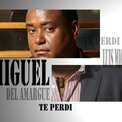 10 TE PERDI -LUIS MIGUEL DEL AMARGUE-