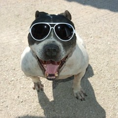 Mark Cream - Tribalistika (oldies) 2006