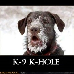 LTD - ProgHole (Impulse) *Free Download*