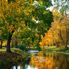 DaKay`s Osterspaziergang Podcast 3 for Food4Feet Records