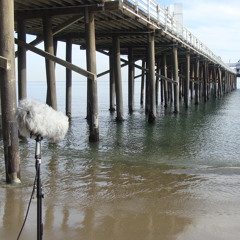 RDGSFX006 CALIFORNIA BEACHES PREVIEW
