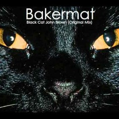 Bakermat and Ben Rodenburg (sax) - Black Cat John Brown LIVE @ Festival Panoramas Morlaix 2013