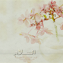 أنشودة أنت السلام للشيخ مشاري العفاسي