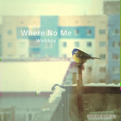 Walkboy - Where No Me (Original mix)