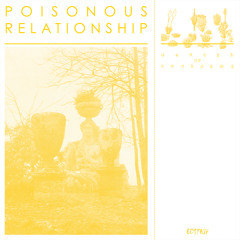 Poisonous Relationship - Men's Feelings