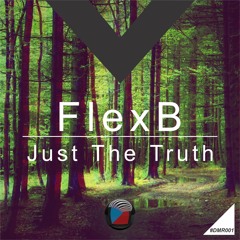 DMR001 - FlexB - Just The Truth (Original Mix) OUT NOW! [Digiment Records]