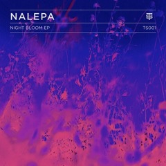 Nalepa "Seattle Flight"