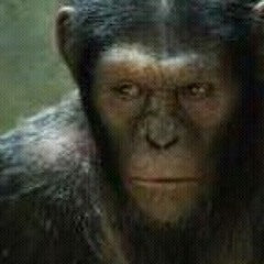 Suckin No at Hart's Fried Chicken