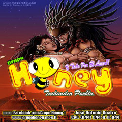 Sonido Fantoche En Vivo -Sin Razon 2013- Grupo Honey