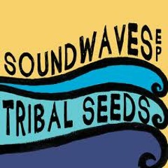 Sound Waves (feat. Eric Rachmany from Rebelution) - Tribal Seeds