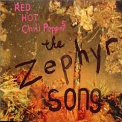 The Zephyr Song - Red Hot Chili Peppers (Acoustic Cover Brysk)