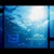 Artwork for Watch The Sky