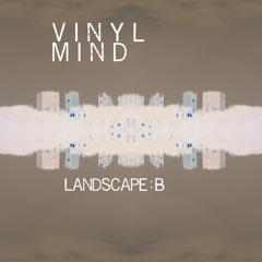 Vinyl Mind - A Horse With No Name