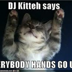 Every Body Hands Go Up