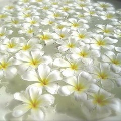 ရက္စက္သြားသူ