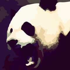 Panda's Jacket - Rhapsody