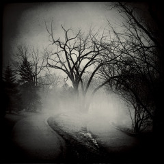 Fork Roads (Prod. RecklessRocc)