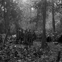 Bayaka women's lingboku songs (Central African Republic, 1993) [1997 21 2 80 A 9]