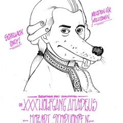 XXXWolfgang A. Mozart Mix//Melodien für Million€n//Vinyl only