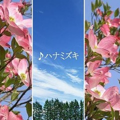 Hanamizuki (J-Pop Song)