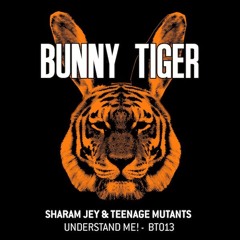 Sharam Jey & Teenage Mutants - Understand Me!(Preview) BT013