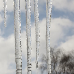 No Looking Back  2015 mix