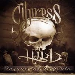 Cypres hill - Insane in the Brain