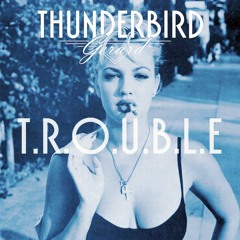 Trouble [Prod. By DJ Stickle & Steddy]