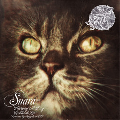 [Suara 084] Harvey McKay - Taste (wAFF Ghetto Mix)