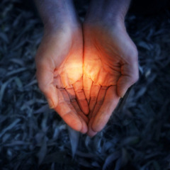 well FREE DL - SPRING 2013