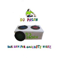 Pasch - Concrete Vibez Promomix 2013