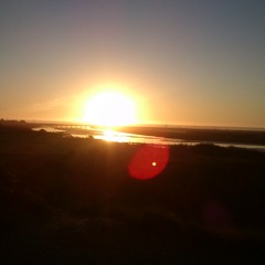 ; für geige solo - Francisco Concha Goldschmidt