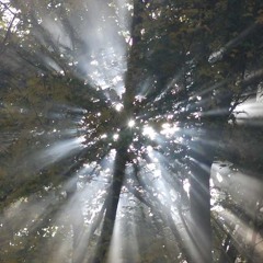 Rebelski vs Taverner - Chorale