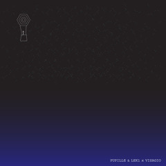 01- Cellule (x Visagio)